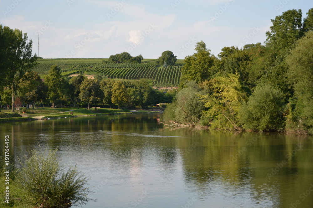 Fototapeta premium Neckar