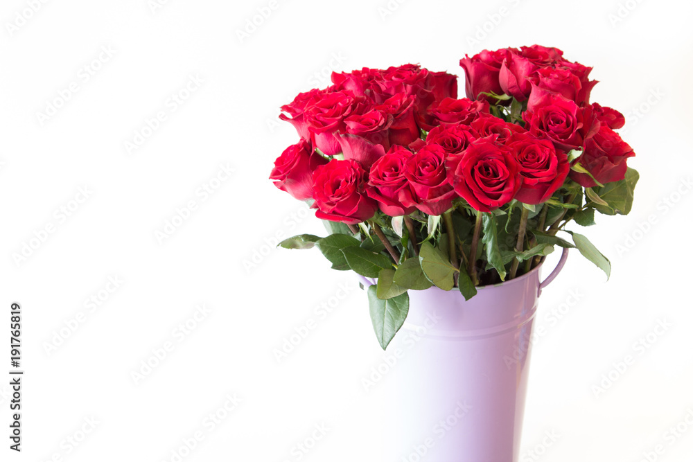 The beautiful red roses bouquet in purple flowerpot on isolate white background. The beautiful red roses bouquet in purple flowerpot on isolate white background.