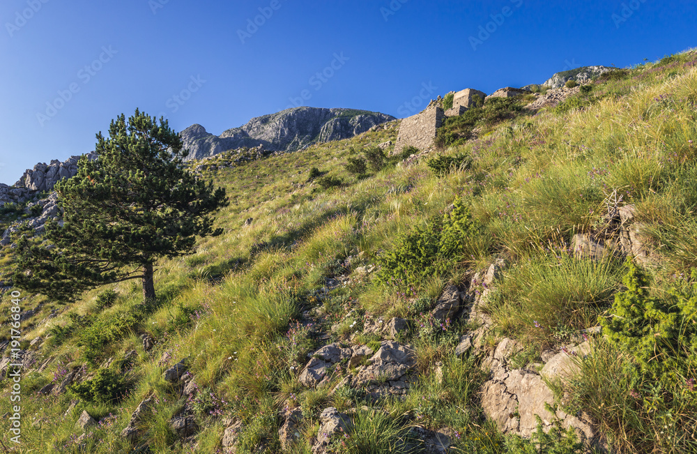 Slope of mountains above Kotor town in Montenegro Slope of mountains above Kotor town in Montenegro