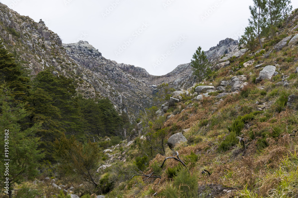 Trees in the foreground and mountains in the background (Peneda-Gerês National Park)