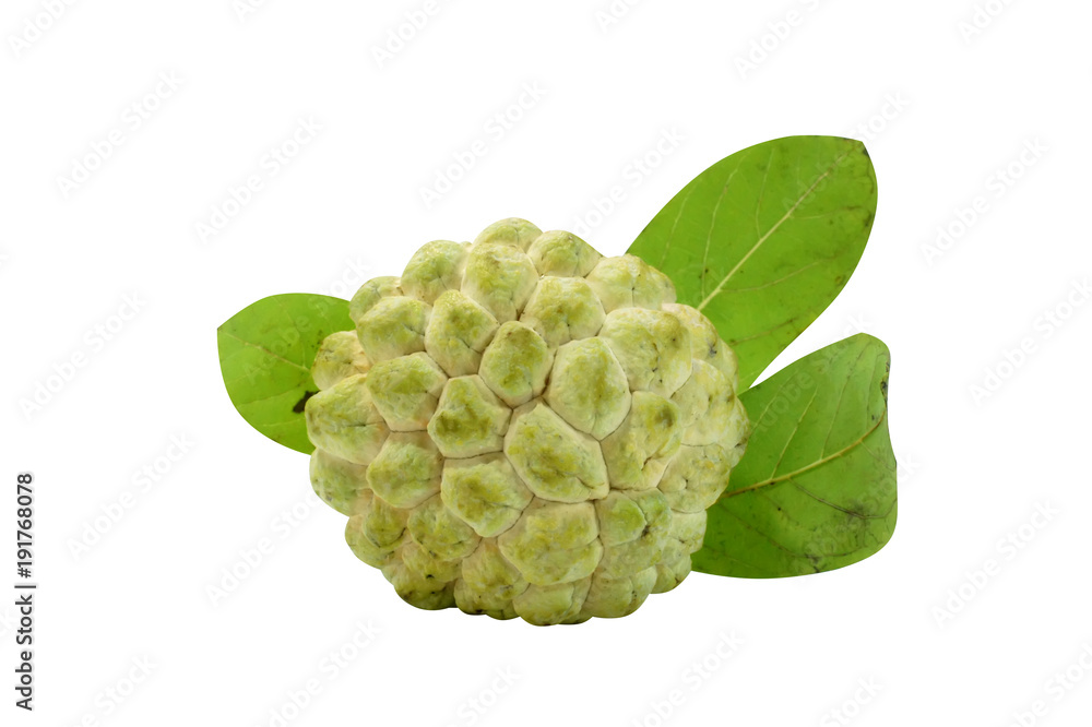 Fototapeta premium Sugar apple on white background.