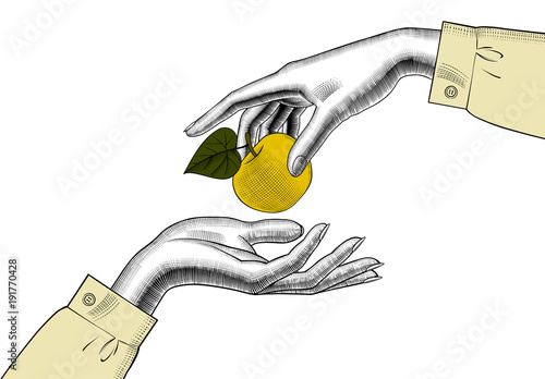 Woman's hands with an apple