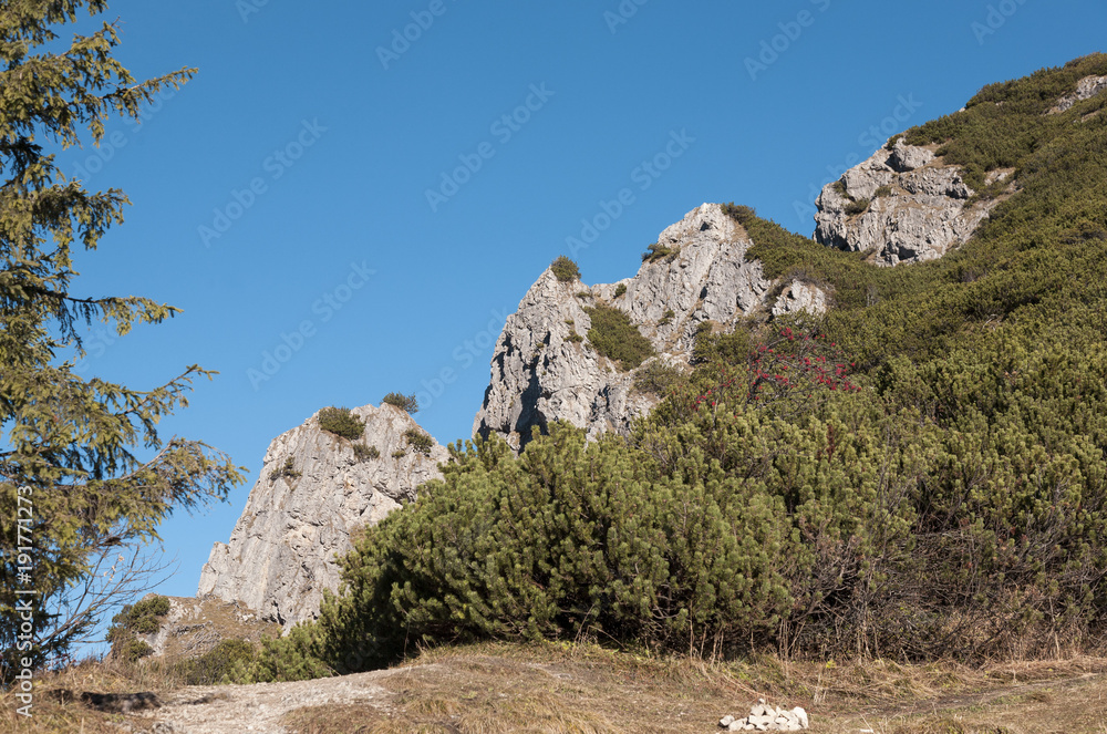 Fototapeta premium Berge