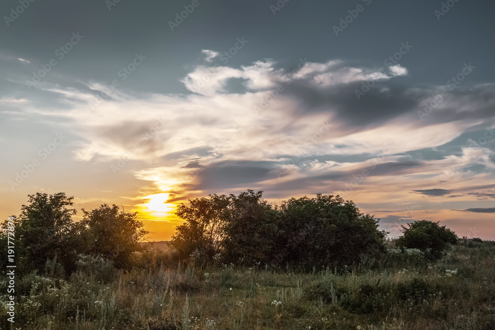 quiet summer evening, sunset in the field, peace and quiet