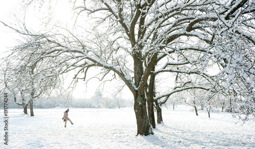 Snowing fields trees Person walking © Ambernila