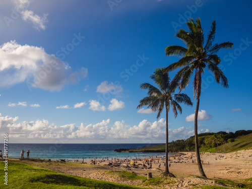 Palms at Anakena beach in Easter Island in Chile. The only tourist beach in the island photo