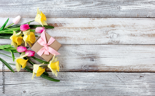 Yellow daffodils and pink tulips with gift box on white weathered wooden boards