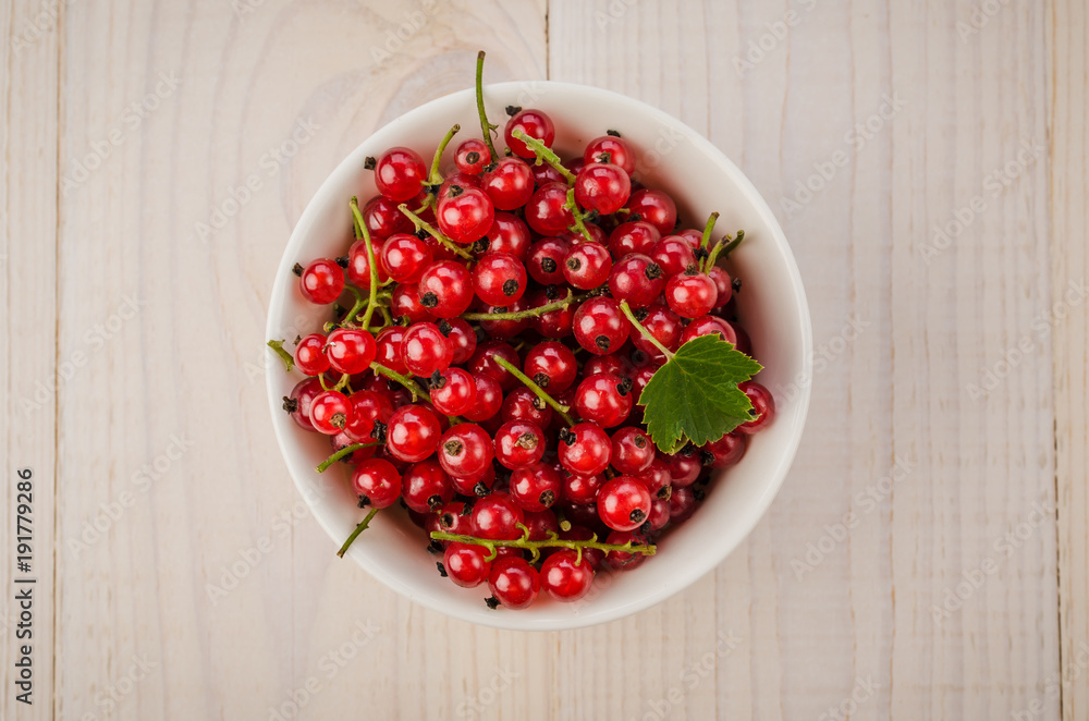 red currant in a white plate on a white background/red currant in a white plate on a white background. top view red currant in a white plate on a white background/red currant in a white plate on a white background. top view