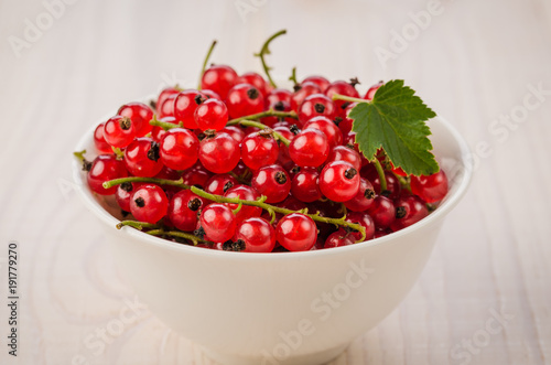 red currant in a white plate on a white background/red currant in a white plate on a white background. selective focus