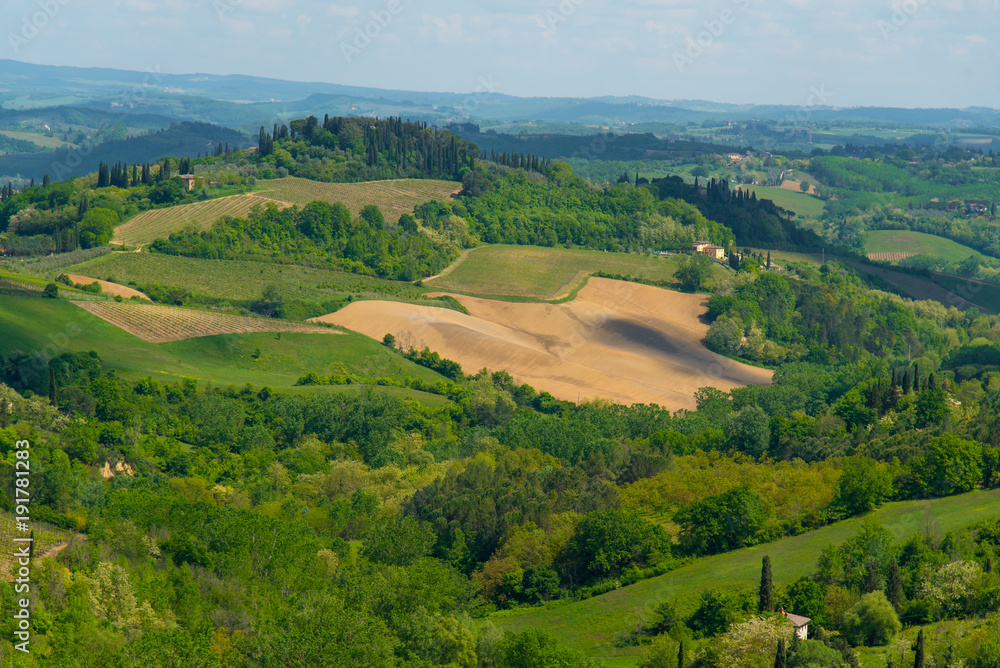 Rolling hills of Tuscany in summer with field in veiw