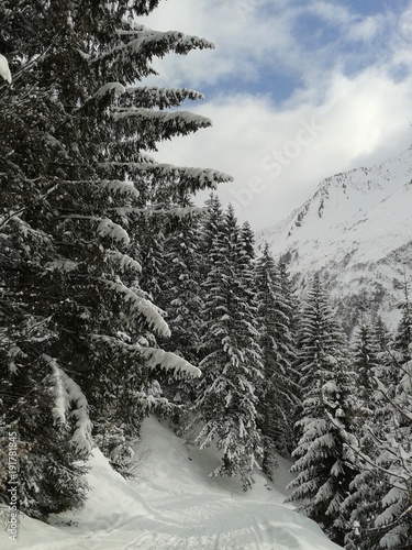 Bergwanderung photo