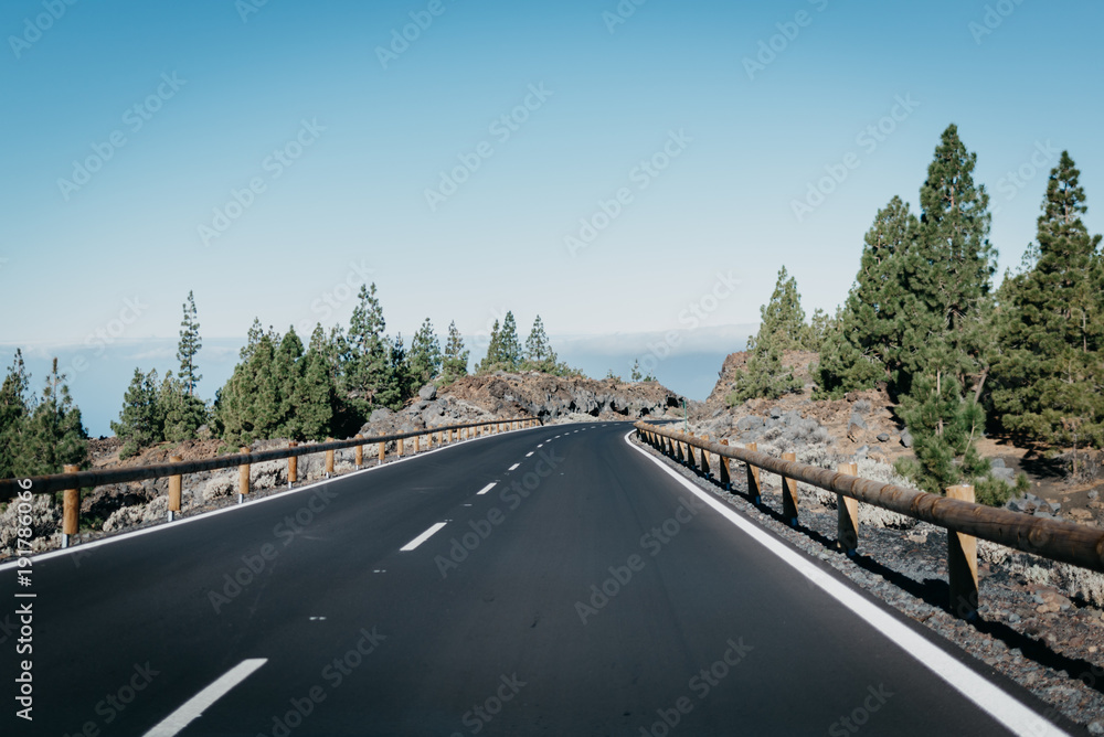 Highway goes between rocks with o lot of green pine-trees to the right near the clouds. Teide National Park. Tenerife
