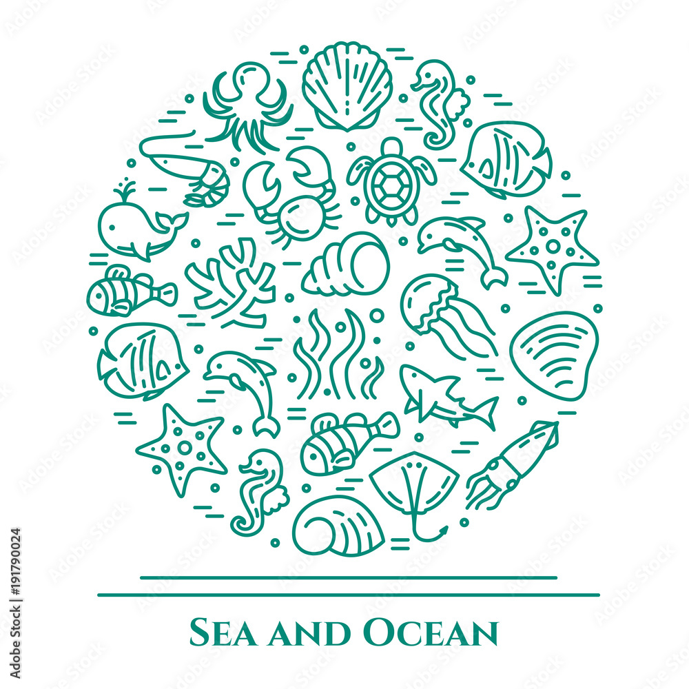 Marine theme aquamarine and white banner. Pictograms of fish, shell, crab, shark, dolphin, turtle, other sea creatures related line pictograms. Simple silhouette. Editable stroke Vector illustration