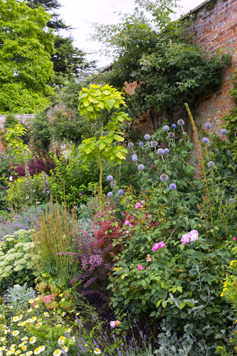 Colouful summer garden border in a walled garden © Chris Rose