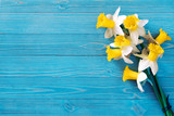Daffodils bouquet on blue wooden table