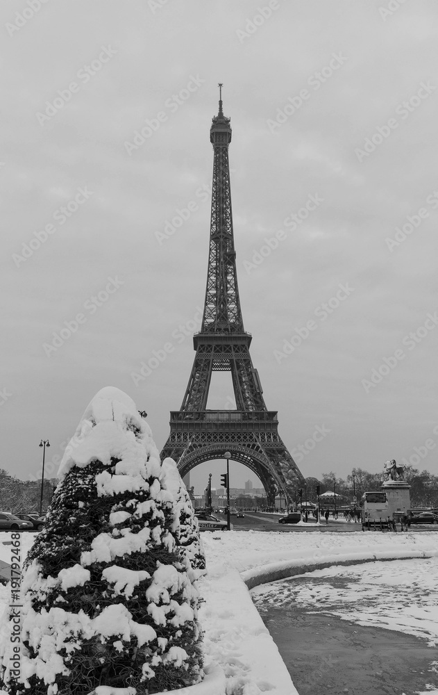 Eiffel tower and pine tree under the snow in winter - Paris