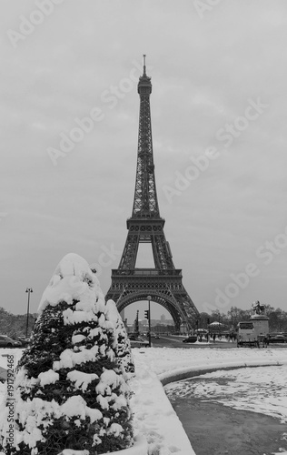 Fototapeta Naklejka Na Ścianę i Meble -  Eiffel tower and pine tree under the snow in winter - Paris