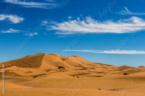 Dune de sable dans le désert du Sahara
