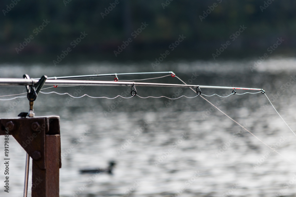 Fishing rods catching a fishes in a pond Fishing rods catching a fishes in a pond