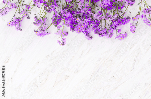 Beautiful Nature Spring Floral background