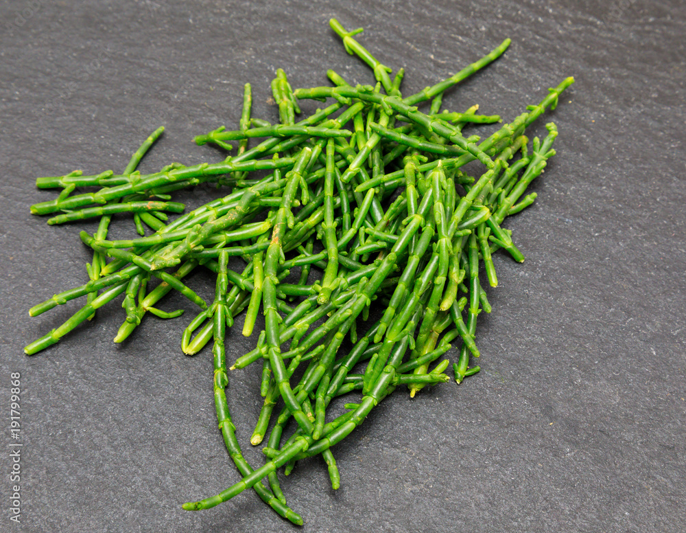 Samphire on a grey slate background Samphire on a grey slate background