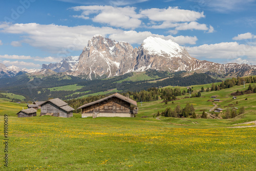 Wallpaper Mural Bergwiesen auf der Seiser Alm mit Blick zum Plattkofel (2969 m) Torontodigital.ca