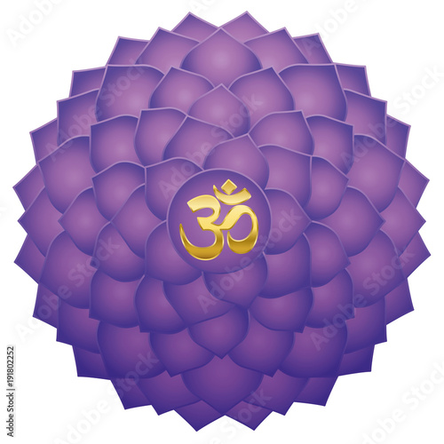 Crown chakra with Aum or Om symbol in the center. Thousand petaled lotus or purple Sahasraha. Spiritual healing symbol - isolated vector illustration on white background.