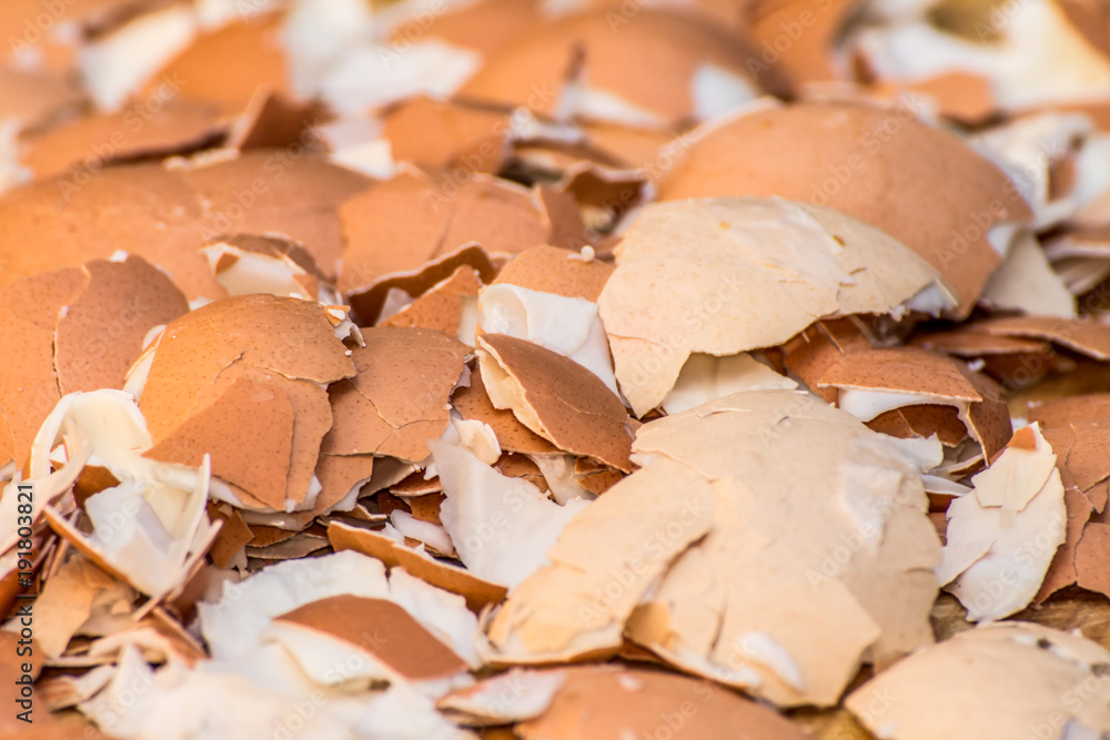 A lot of broken eggshells leftovers of boiled eggs A lot of broken eggshells leftovers of boiled eggs