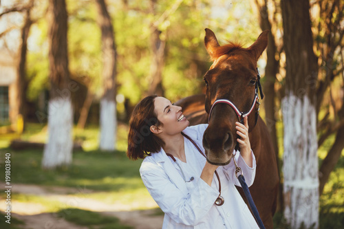 Veterinarian enjoying with a horse outdoors at ranch.  photo