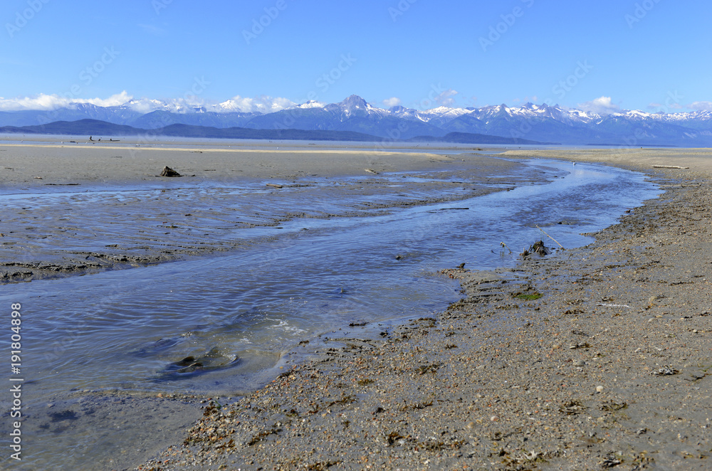 Mountain scene in Alaska with migrating pacific salmon swimming upstream which takes place along the pacific coast each season and is crucial to the ecosystem. Mountain scene in Alaska with migrating pacific salmon swimming upstream which takes place along the pacific coast each season and is crucial to the ecosystem.