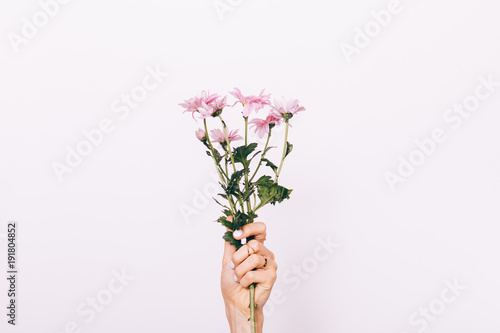 Pink flower in female hand with manicure © progressman