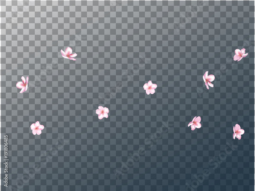 Pink Cherry Blossom Vector Confetti. Holiday Wedding Birthday Decoration Realistic Pink Cherry Blossom Confetti. Spring Apple, Sakura or Apricot Blooming Showering. Light Magic Flying Petals Design.
