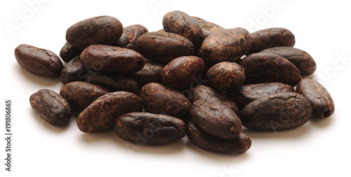 Fotografie Theobroma cacao Կակաո 카카오 Kakó شجرة Kakaó Kakaowiec właściwy növényfaj كاكاو