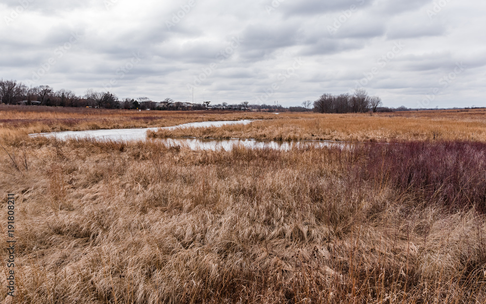 Prairie landscape with river running through it