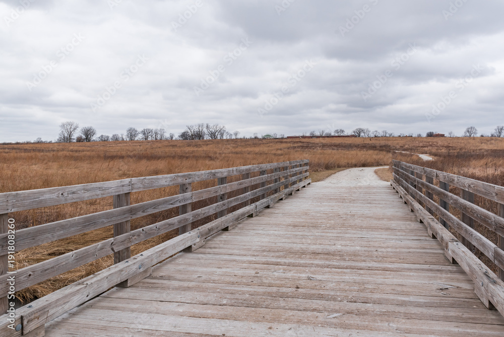 Prairie Landscape with bridge