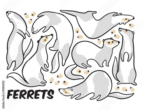 Cute cartoon ferrets set in outline. Vector illustration