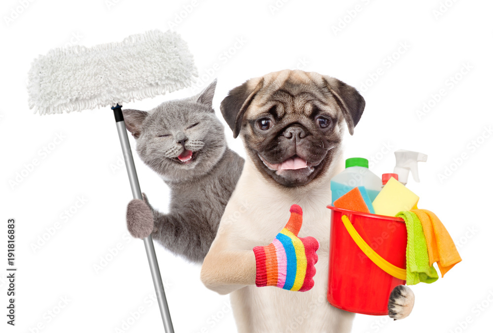 Cleaning concept. Cat and dog holds bucket with washing fluids and mop in paw and showing thumbs up. isolated on white background