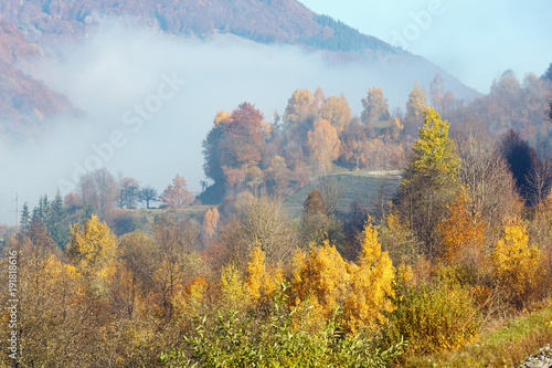 Morning autumn Carpathian mountains, Ukraine