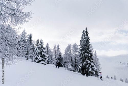 Verschneiter Wald in Schneelandschaft © Nena