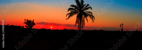 panorama view silhouette coconut tree in sunset on sky beautiful colorful landscape and city countryside twilight time art of nature