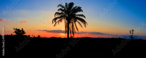 Fototapeta Naklejka Na Ścianę i Meble -  panorama view silhouette coconut tree in sunset on sky beautiful colorful landscape and city countryside twilight time art of nature