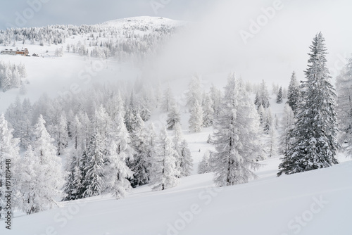 Verschneiter Baum in Schneelandschaft mit Sonne und blauem Himmel