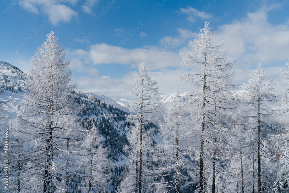 Obraz premium Verschneite Bäume mit blauem Himmel und Wolken in Österreich