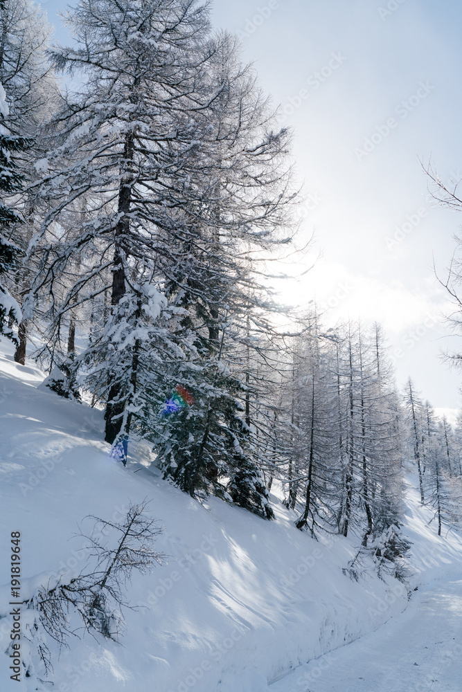 Verschneite Bäume mit blauem Himmel und Wolken in Österreich Verschneite Bäume mit blauem Himmel und Wolken in Österreich