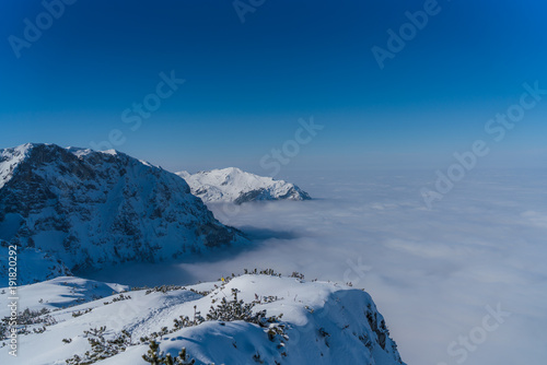 Schneelandschaft auf dem Berg - Tal im Nebel - Blick auf Traunstein
