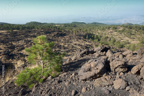 Galvarina Plateau In Etna Park, Sicily