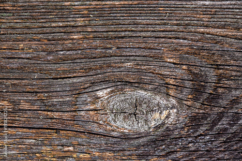texture- gray wooden ground