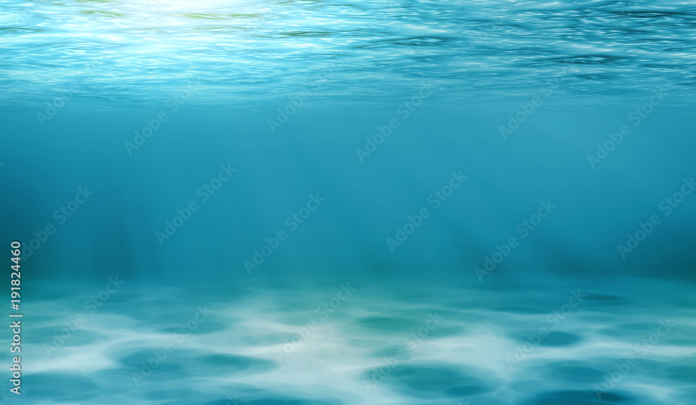 Underwater view of the sea Underwater view of the sea