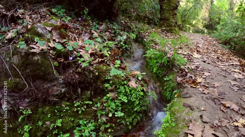 Beautiful small brook. Marmaris, Turkey. Beautiful small brook. Marmaris, Turkey.