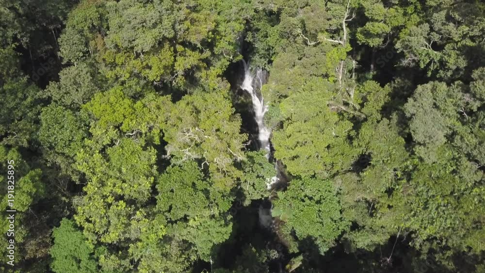 A birds eye view shot of river and trees. Camera moves forward A birds eye view shot of river and trees. Camera moves forward